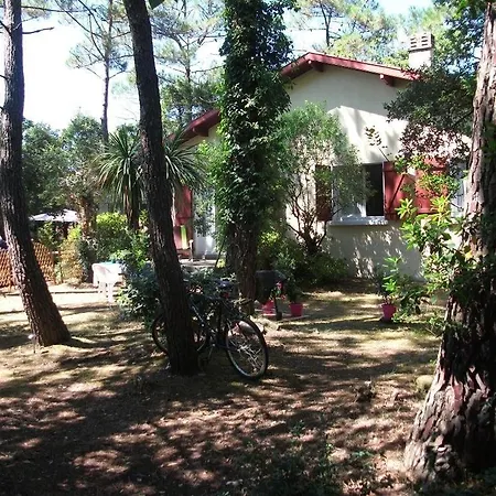 House 200 M From And Forest Path