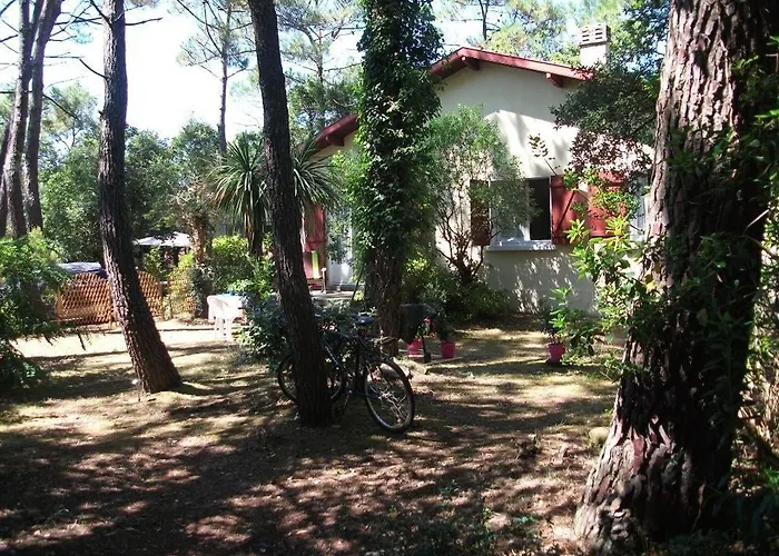 House 200 M From And Forest Path